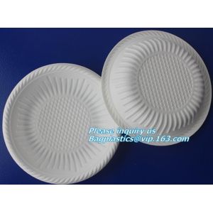 Disposable Plastic Takeaway Meal Tray, Corn starch blister packaging tray,