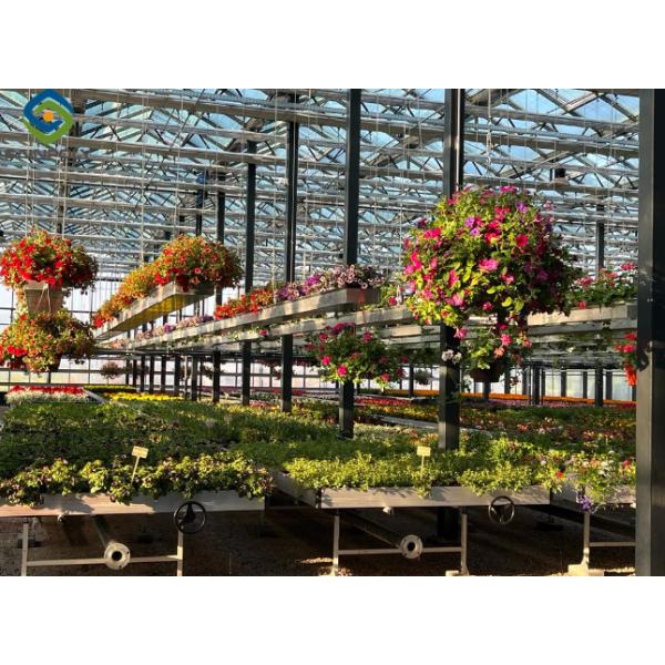 Smart Venlo - type glass greenhouse with top - window opening system and fertilization system