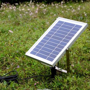 Long Lasting Solar LED Flood Light Eco Friendly Waterproof Security Lighting