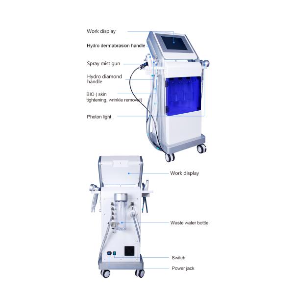 Multifunctional Beauty Therapy Machine Oxygen Jet Peel Facial Machine 11 In 1