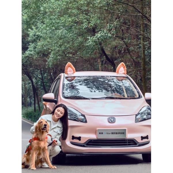 Changan Benben E-Star Electric Car 2023 Model 5 Door 5 Seats Pure Electric 75HP 301km Range 101km/h Full load weight 1150KG