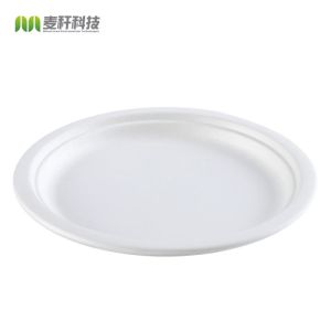 Eco-friendly Biodegradable Baggasse RoundCake Disposable Steak Round Dessert