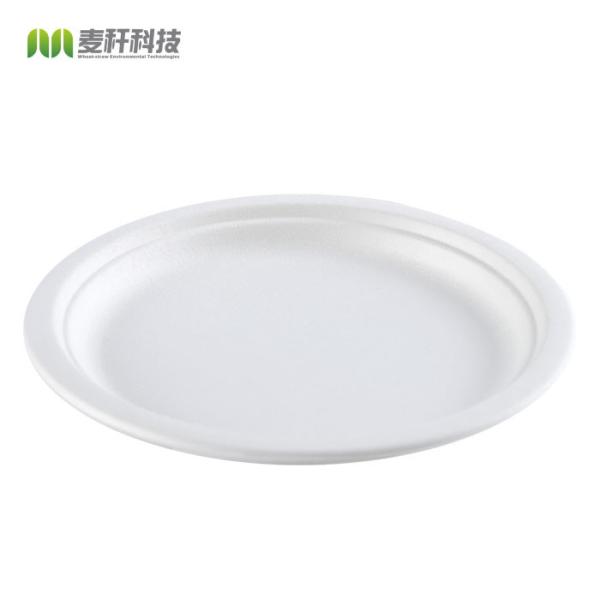 Eco-friendly Biodegradable Baggasse RoundCake Disposable Steak Round Dessert