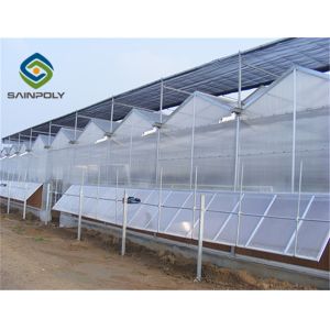 Arch Roof 10.8m PC Sheet Greenhouse Flower Growing