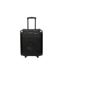 Professional Portable DJ Trolley Speaker Audio BT Battery Speaker With Disco
