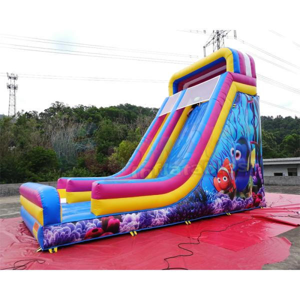 Buy Waterproof Commercial Inflatable Slide / Nemo Inflatable Dry Slide at wholesale prices