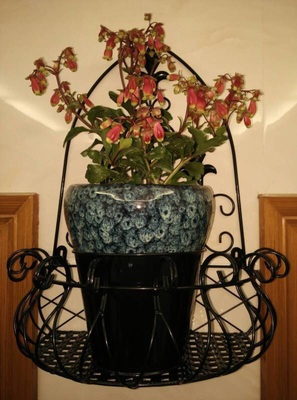 Green Flower Stand Hanging Wall Indoor Balcony Hanging Semi-Circular Flower Stand