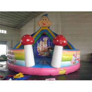 Fun Inflatable Slide (CYSL-21)