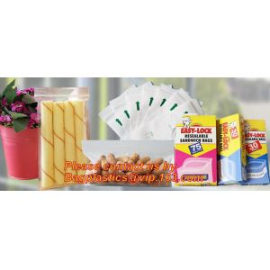 Custom Double Seal Plastic Bag /Double Track Plastic Zipper Bags, LDPE clear