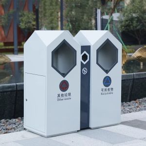 Innovative Irregular Trash Bin Stainless Steel Double Bin Waste Bin