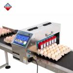 Six Nozzle Automatic Egg Spray Coding Machine Printing