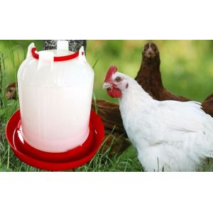 High Quality Poultry Farming Automatic Plastic Chicken Feeders and Drinkers