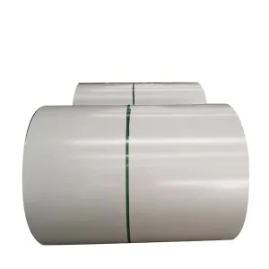 China High Tensile Strength Electro-Galvanized Steel Coil 270-500n/mm2 on sale