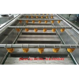 Rooted Plant Fruit And Vegetable Processing Machinery Washing Equipment Large