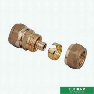 Pipeline Female Coupling PEX Brass Fittings For SS Tube