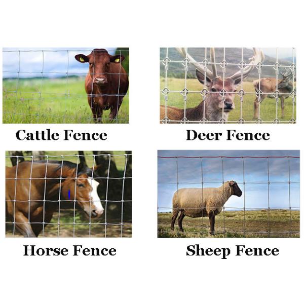 High Carbon Steel Wire 2mm Dia Fixed Knot Fence