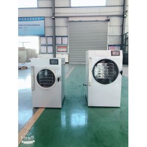 Low Noise 2Kg 4Kg Small Mini Freeze Dryer Household Use