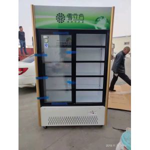 2/3 Sliding Door Beverage Commercial Display Cabinets Green Series Air Cooled