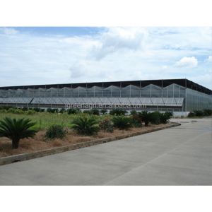 9.6m Tunnel Width Polycarbonate Greenhouse for Sustainable Agricultural
