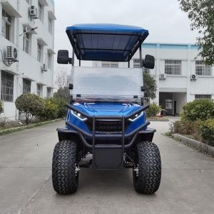 Electric Golf Carts with Curb Weight 570kg Size Of Tire 12 inch or 14 Inch 15"