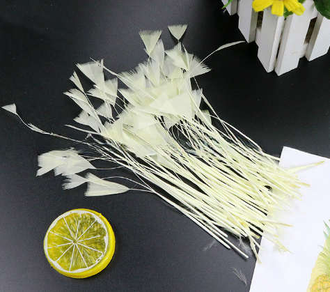 8-10cm Dyed Stripped Goose Carnival Feathers For Customer Requirements