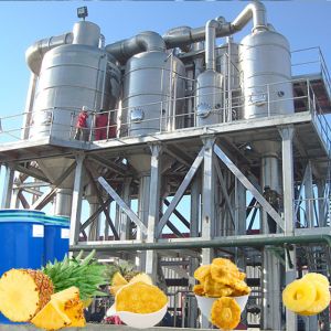 Multifunctional Pineapple Juice Processing Line Machine For Pineapple Processing