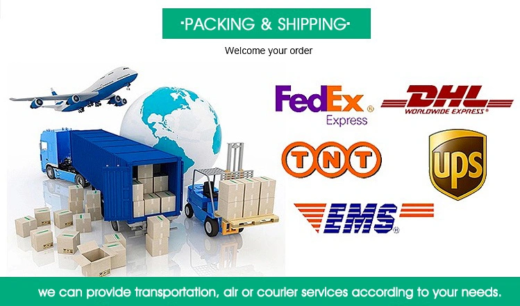 OPP Agenda Organizer Planner Notebook Laminated Spiral Bound OPP 8 Inches X 9.5 Inches