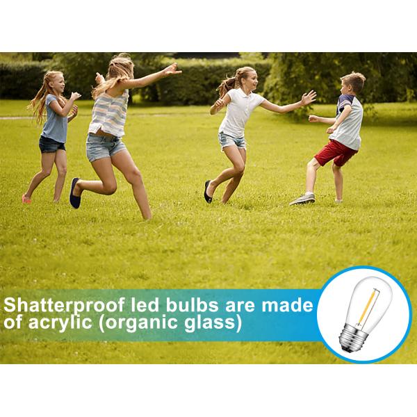 Ambience LED Outdoor Festoon Solar Lights Edison 1500LM Warm White