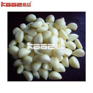 Fully Automatic Garlic Processing Line With Food Grade Material
