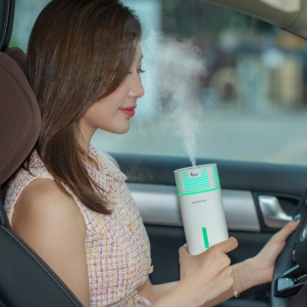 USB H2o Air Humidifier 500ml Personal Fogger Spray Tabletop Greenhouse