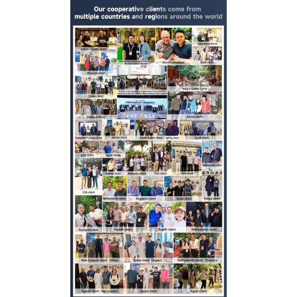 Premium Artificial Coconut Palm Trees & Plants - Customizable UV-Resistant Designs | Guangzhou Haihong