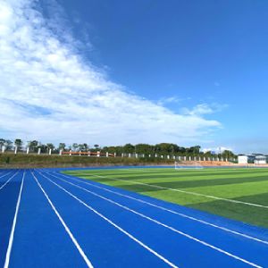 Red Semi Prefabricate Running Track Weather Resistance