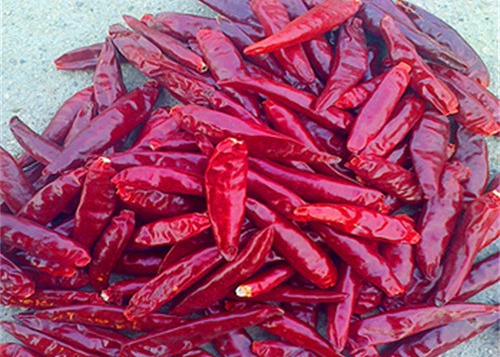 Buy Stemless AD Dried Birds Eye Chilli 20000SHU Red Chilli Peppers at wholesale prices