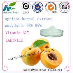 China direct manufacturer bitter apricot seed amygdalin powder vitamin b17 on sale