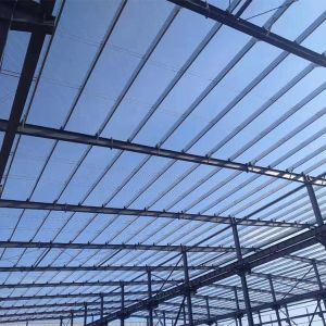 Cost Effective Steel Structural Buildings Multi Functional Metal Houses And