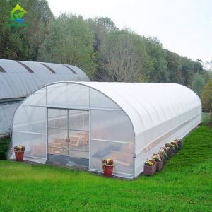 Single Span Commercial Polytunnel Plastic Film Greenhouse Farming