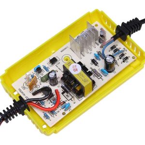 Smart 12v10a 24v5a 36v3a 48v2.5a Lifepo4 Battery Pack Charger