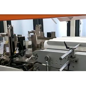 Automatic bath tissue paper roll bundle packing machine