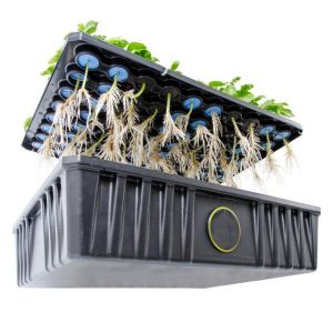 Hydroponic Sponge Medium Bacteria Resistant