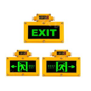 Warning Explosion Proof Emergency Light WF1 High Luminous Efficiency