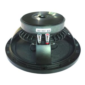 Pa audio 10 inch woofer speaker 250W RMS