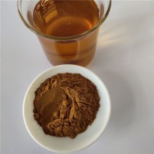 wholesale Reed Rhizome Extract/reed with best price