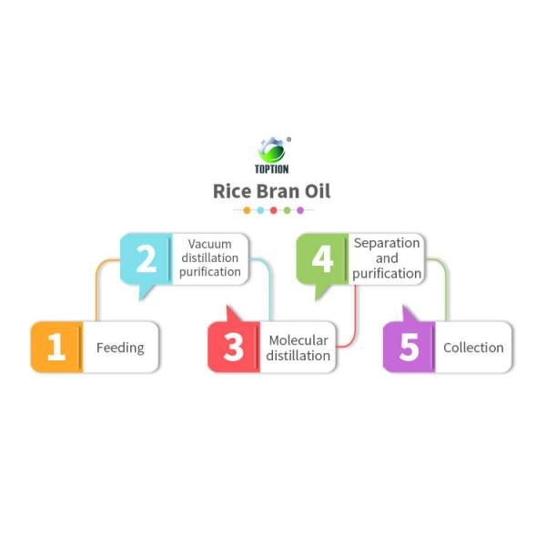  molecular distillation of rice bran oil