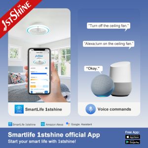 Small 20 Inch Flush Mount LED Ceiling Fan with Light and Color Temperature 3000