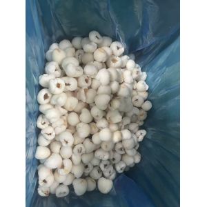 2025 NEW CROP High Quality IQF ​Lychee