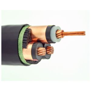 Low-Carbon XLPE Insulated Power Cable 600/1000V - Sustainable Electrical