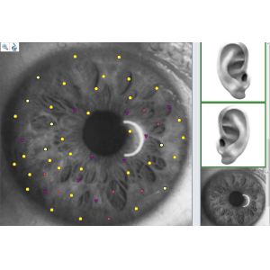 Russian Version Metatron NLS Hunter