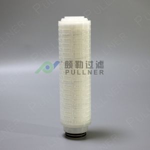 OD2.7" L20" 0.02 Micron PVDF Membrane Filter Cartridge