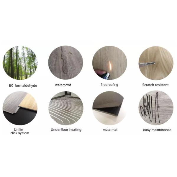 5mm Wood Grain SPC Flooring Unilin Click Beach Sunset Burlywood Eco Friendly GKBM MJ-W6003