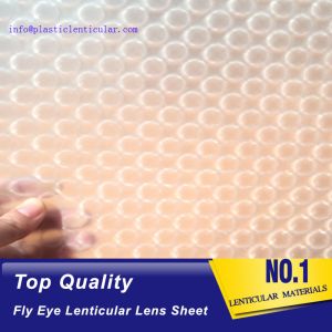 PLASTIC LENTICULAR double sided dots 360 3d effect fly eye lenticular film